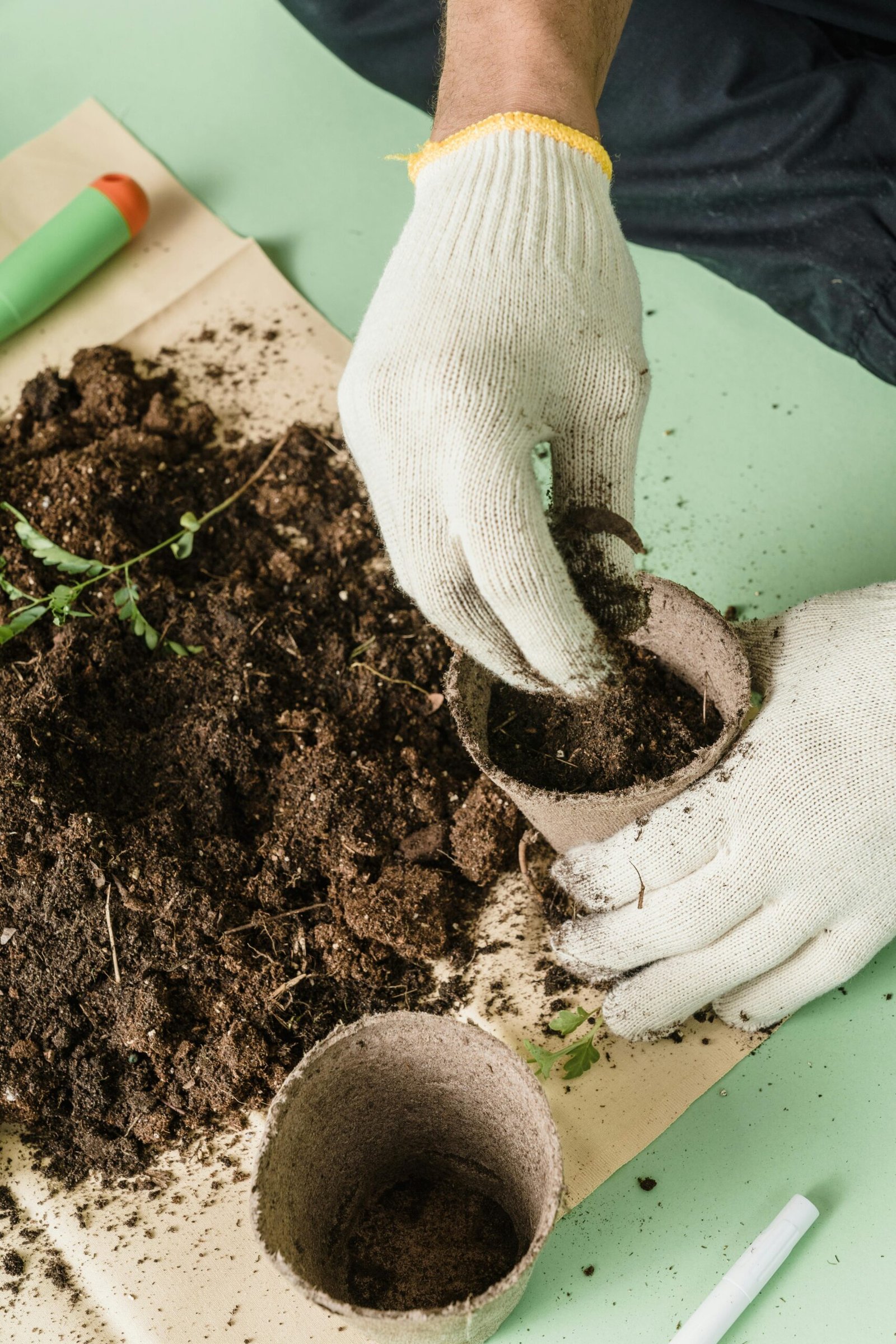 Gardener potting up plants with peat-free compost